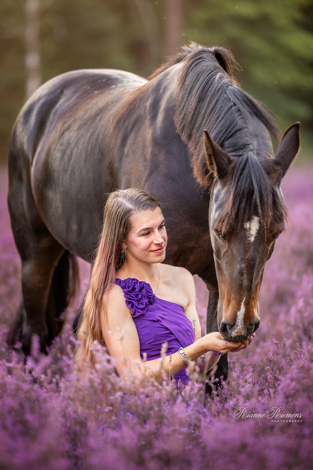 Sprookjesachtige paarden fotoshoot bij de roze bloesem in Leiden met een vrouw in een lange rode jurk die naast haar Haflinger staat – Rianne Riemens Photography | Paardenfotograaf